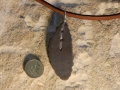 Welsh slate leaf pendant with sterling silver stitching and choker length thong.