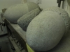 acorn7d