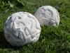 Two ivy spheres