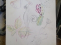 a few sketches from my garden