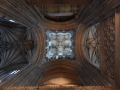 Up through the tower