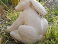 hare
