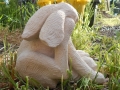 hare