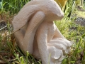 hare