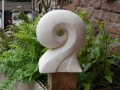 Fern