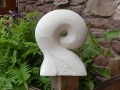 Fern