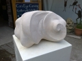 Carving for Paxos