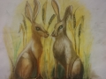 hares