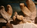 Bivalves