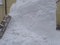 Chimpanzees coming out of the snow