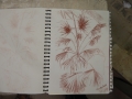 a sketch I made in the dome of Centerparcs in Longleat.