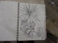 Some sketching I did in the dome at Longleat Centerparcs