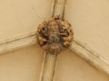 Ceiling Boss Norwich Cathedral cloisters