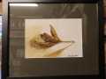 Beech nut, Oil painting framed £95 picture size 130mm x 190mm, framed size 285mm x 340mm