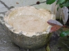 dscn0110a