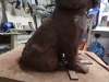 profile left