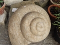 Nautilus, Tetbury limestone. Carved using the Bernoulli/Descartes spiral.