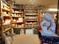 shop23