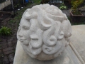 face two