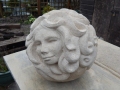 face two